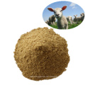 Sojaschrot 46% Feed Grade Super Supplier